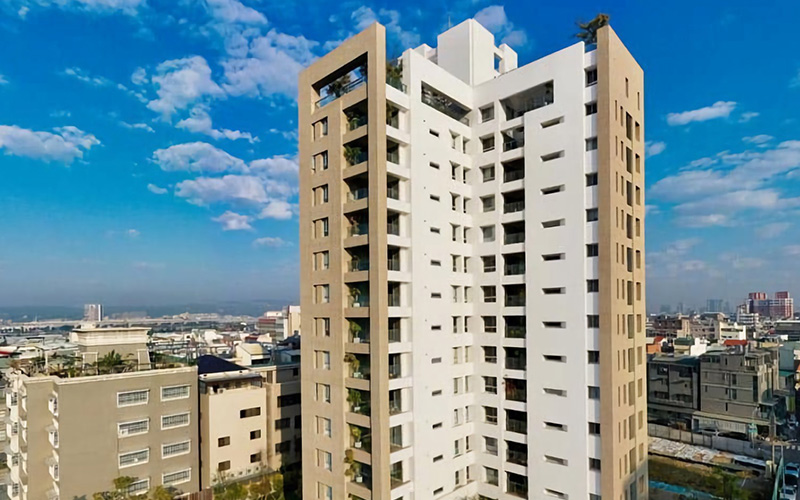 打里摺春上楓樹